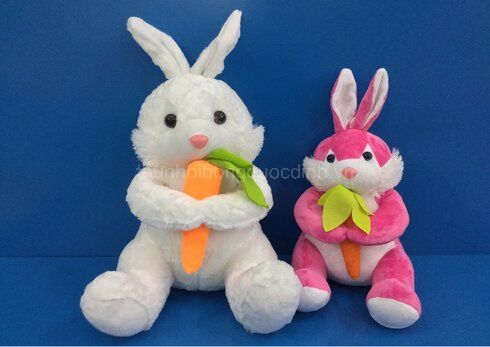 Thỏ ngồi ôm cà rốt