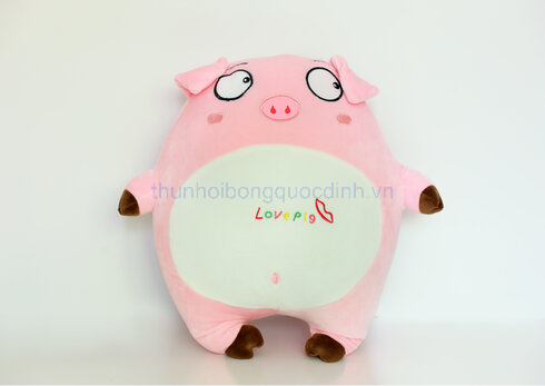 Heo Love Pig